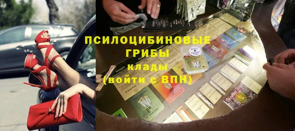 apvp Аркадак