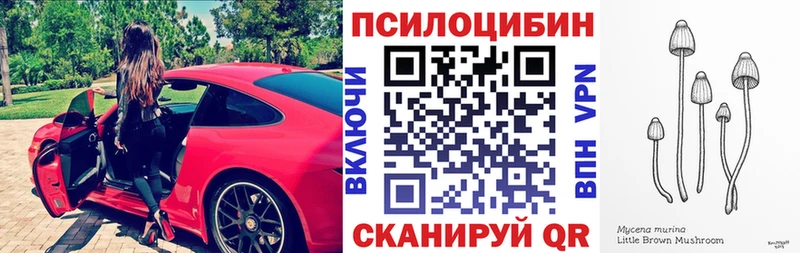 Галлюциногенные грибы мухоморы  где продают   Почеп 